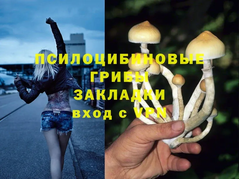 Галлюциногенные грибы MAGIC MUSHROOMS  Верхотурье 